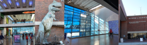 Museum of Science